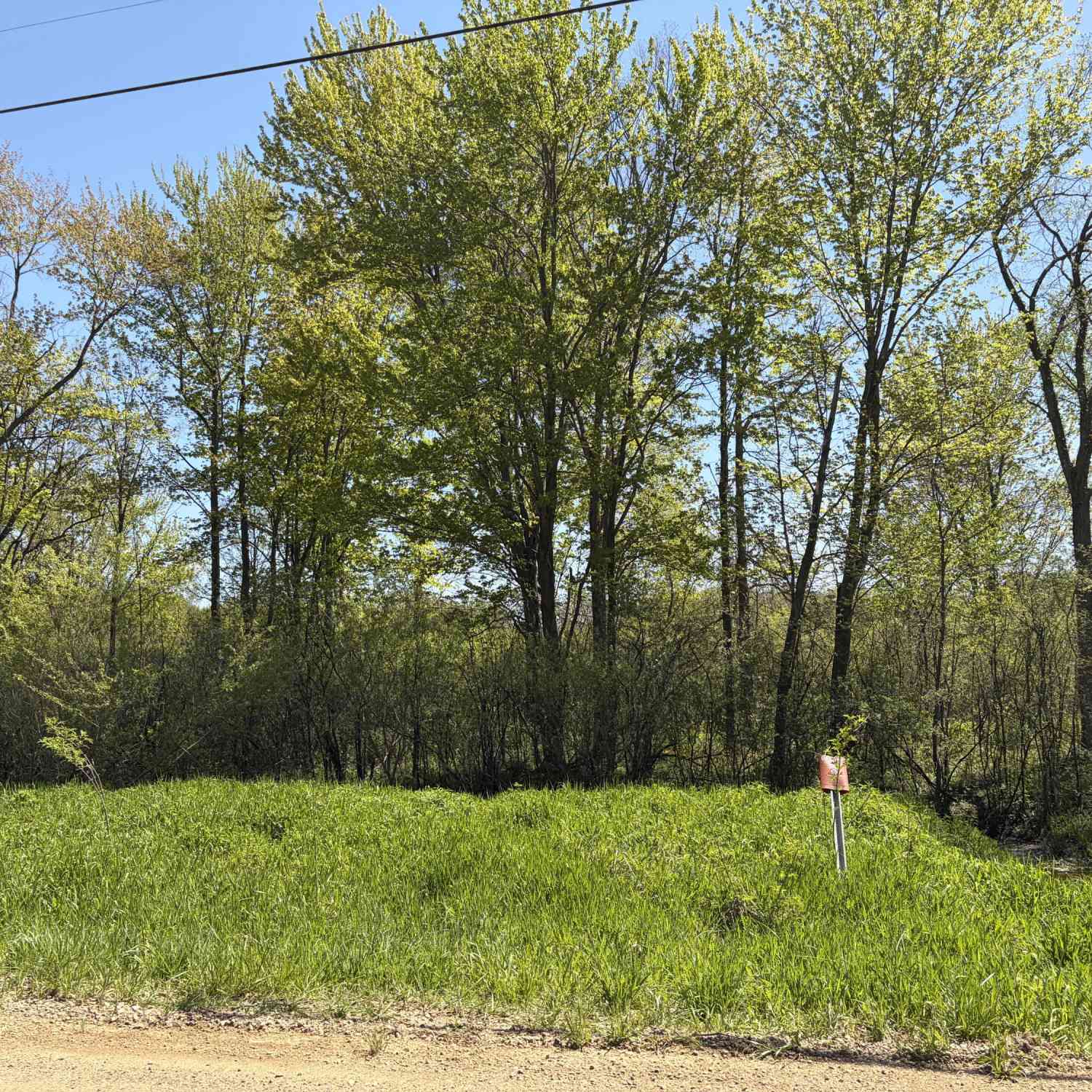 Vacant Land For Sale - 00000 41st Street #PARCEL D<br/> Paw Paw, MI 49079