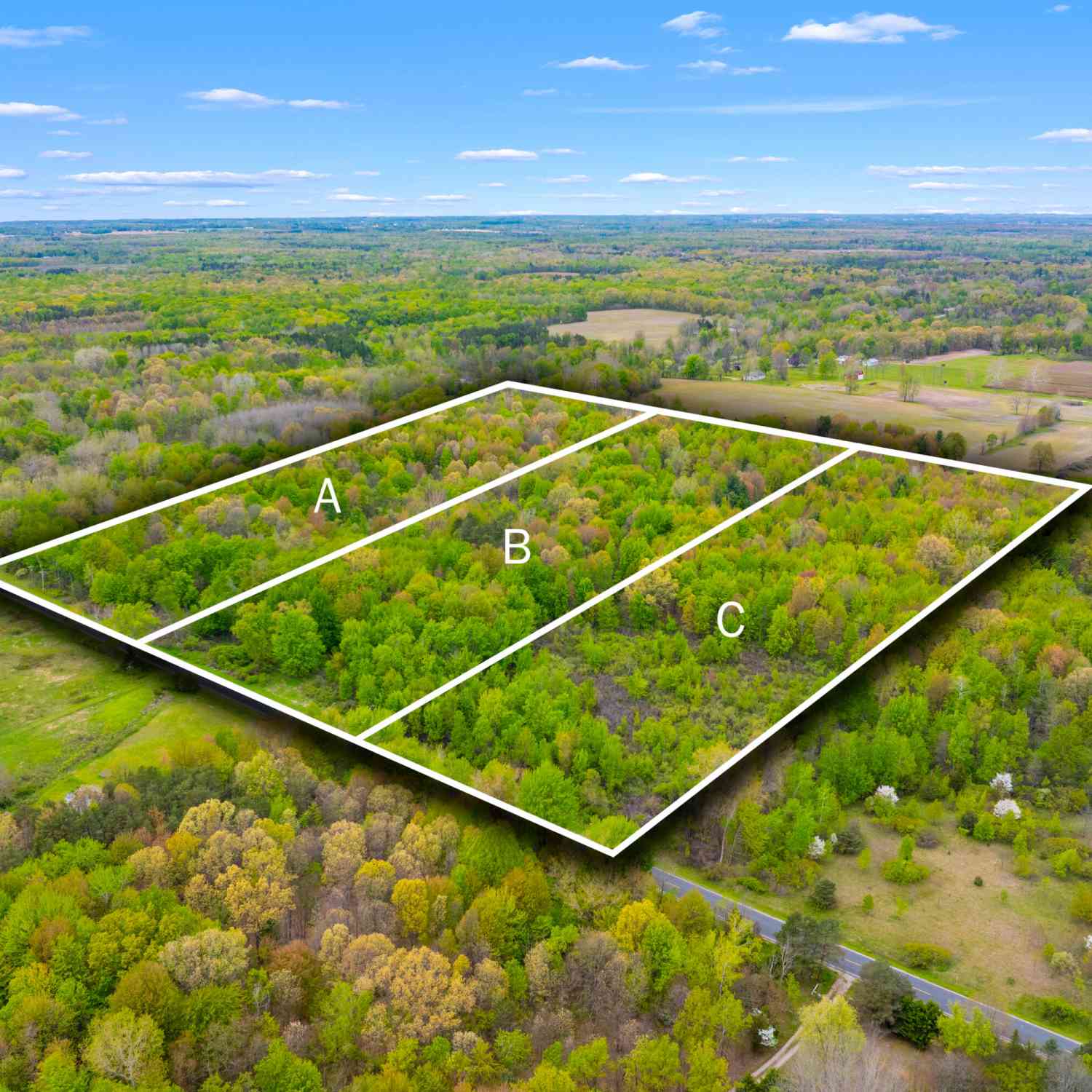 Vacant Land For Sale - V/L-C 102nd Avenue<br/> Grand Junction, MI 49056