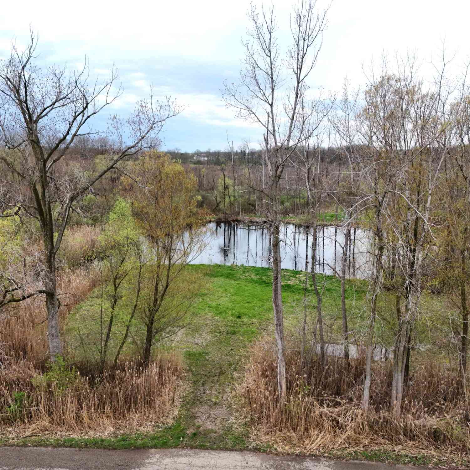 Vacant Land For Sale - Tulip Tree Lane<br/> Cassopolis, MI 49031