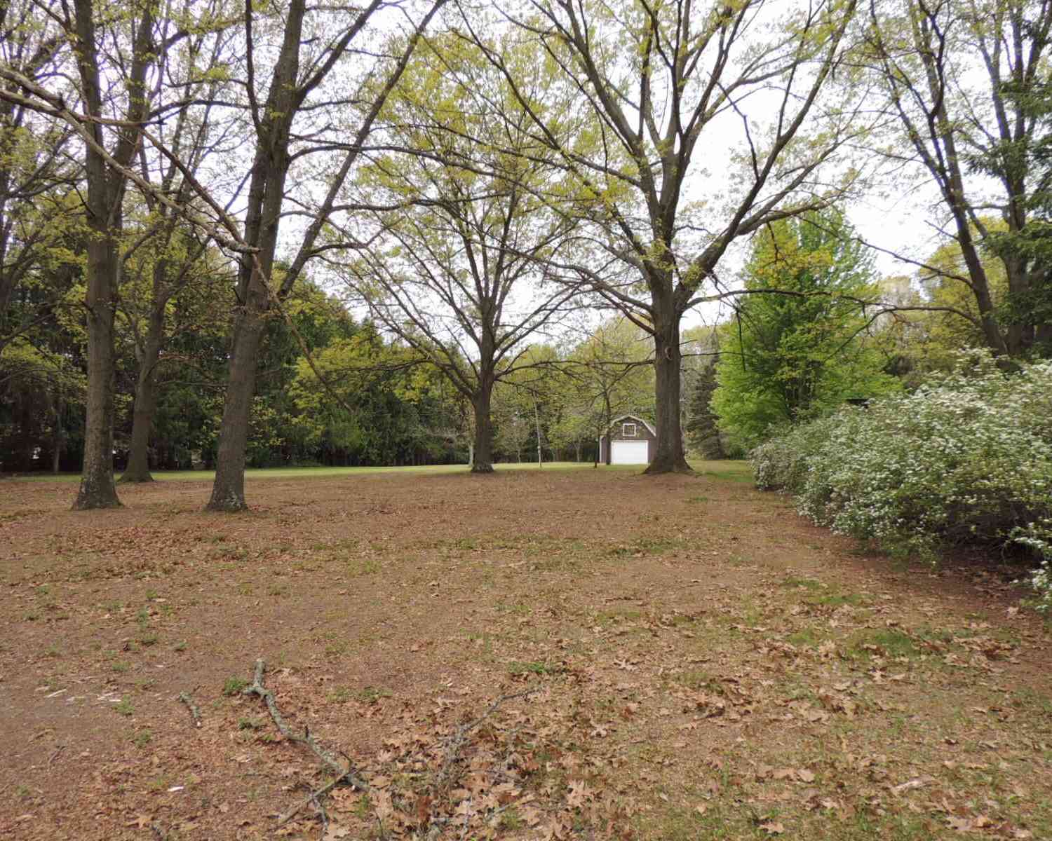 Vacant Land For Sale - V/L 55th Street<br/> Fennville, MI 49408