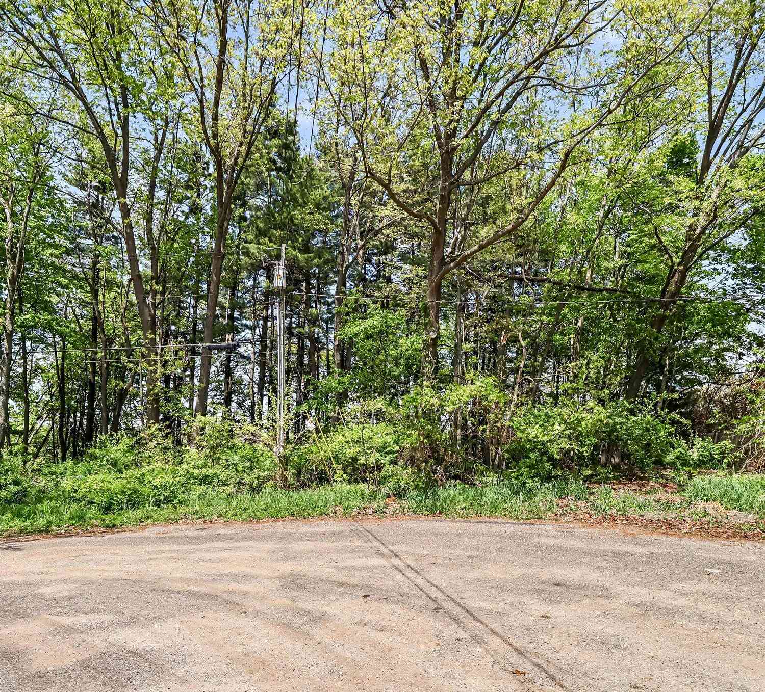 Vacant Land For Sale - 67544 Thunderbird Drive<br/> Saint Joseph County, Sturgis, MI 49091