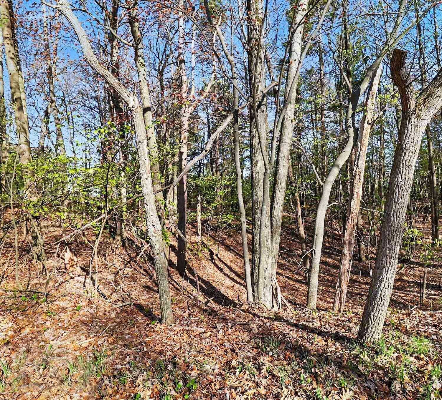 Vacant Land For Sale - LOT 11 Silver Ridge Road<br/> Mears, MI 49436