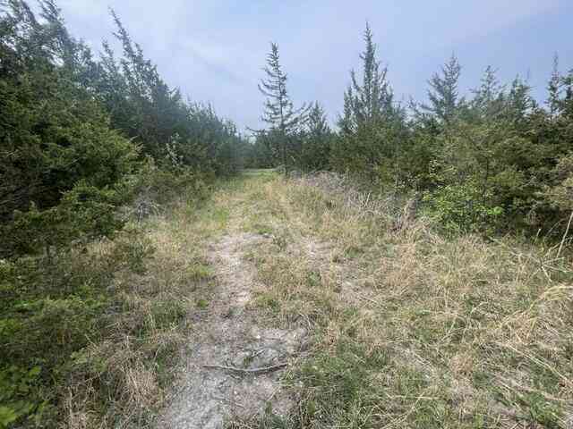 Vacant Land For Sale - Case Drive<br/> Union City, MI 49094