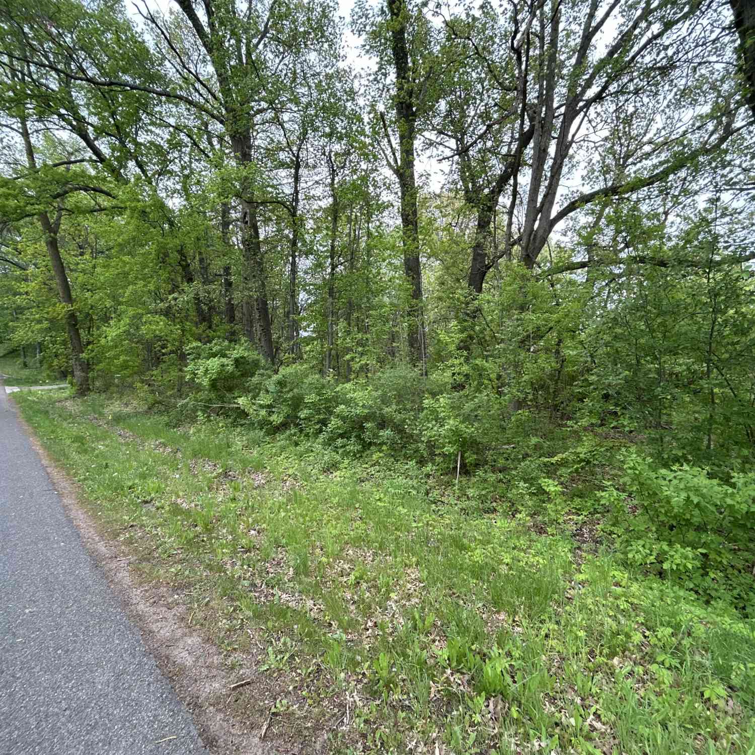 Vacant Land For Sale - V/L House Street<br/> Belmont, MI 49306
