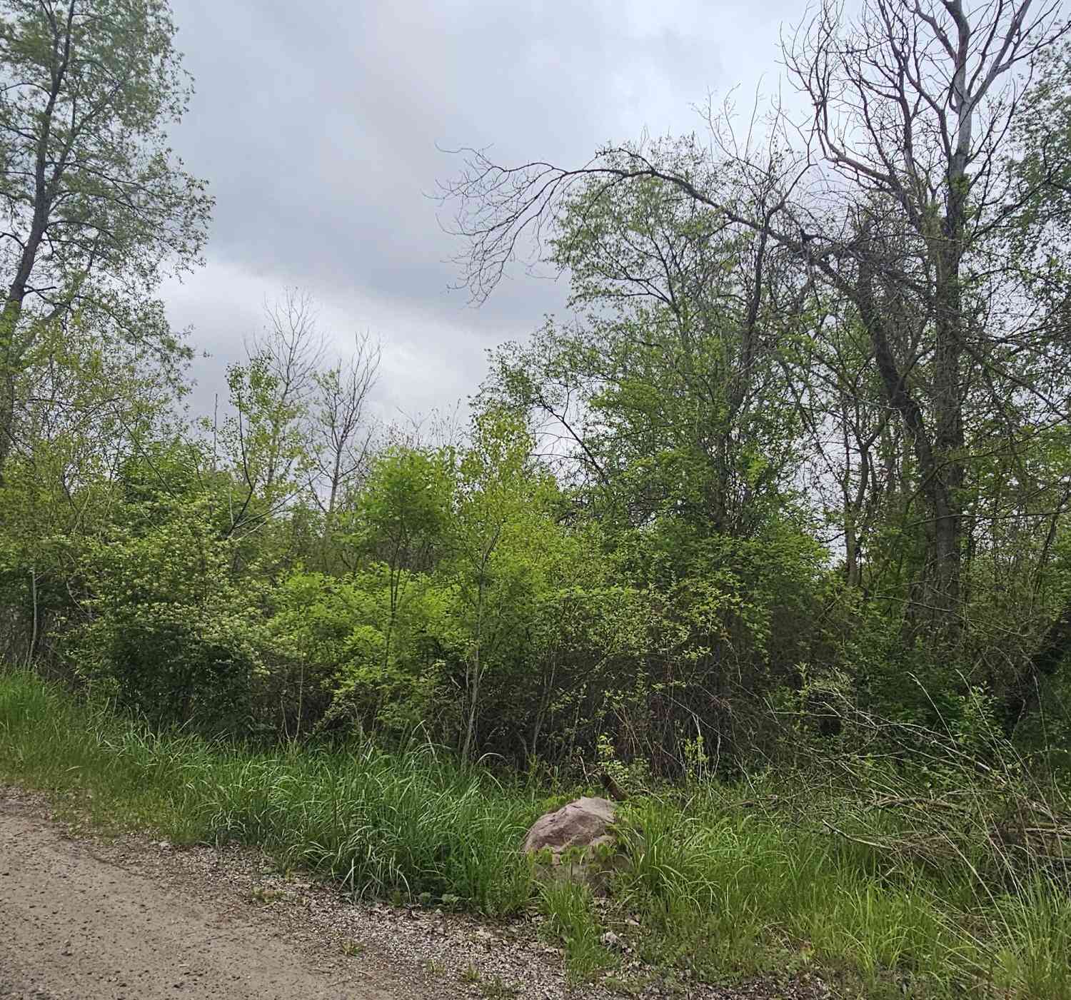 Vacant Land For Sale - MICHIGAN W Michigan Avenue<br/> Albion, MI 49224