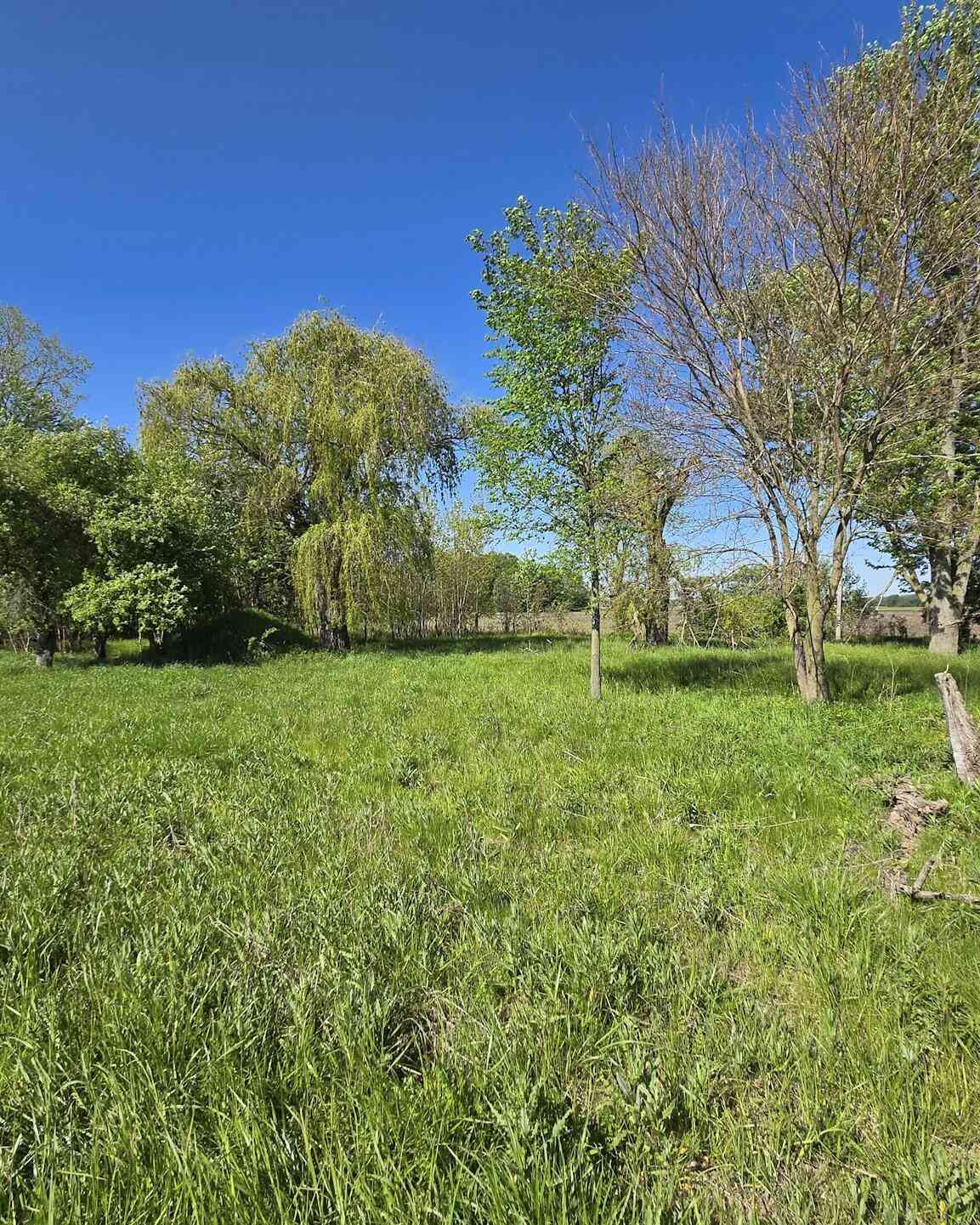 Vacant Land For Sale - 18946 Avery Road<br/> Three Oaks, MI 49128