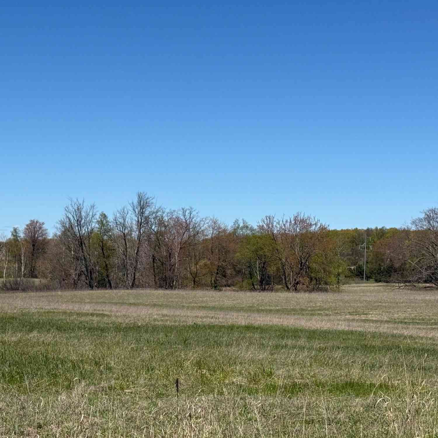 Vacant Land For Sale - VL N Locust Road<br/> Newaygo County, Paris, MI 49338
