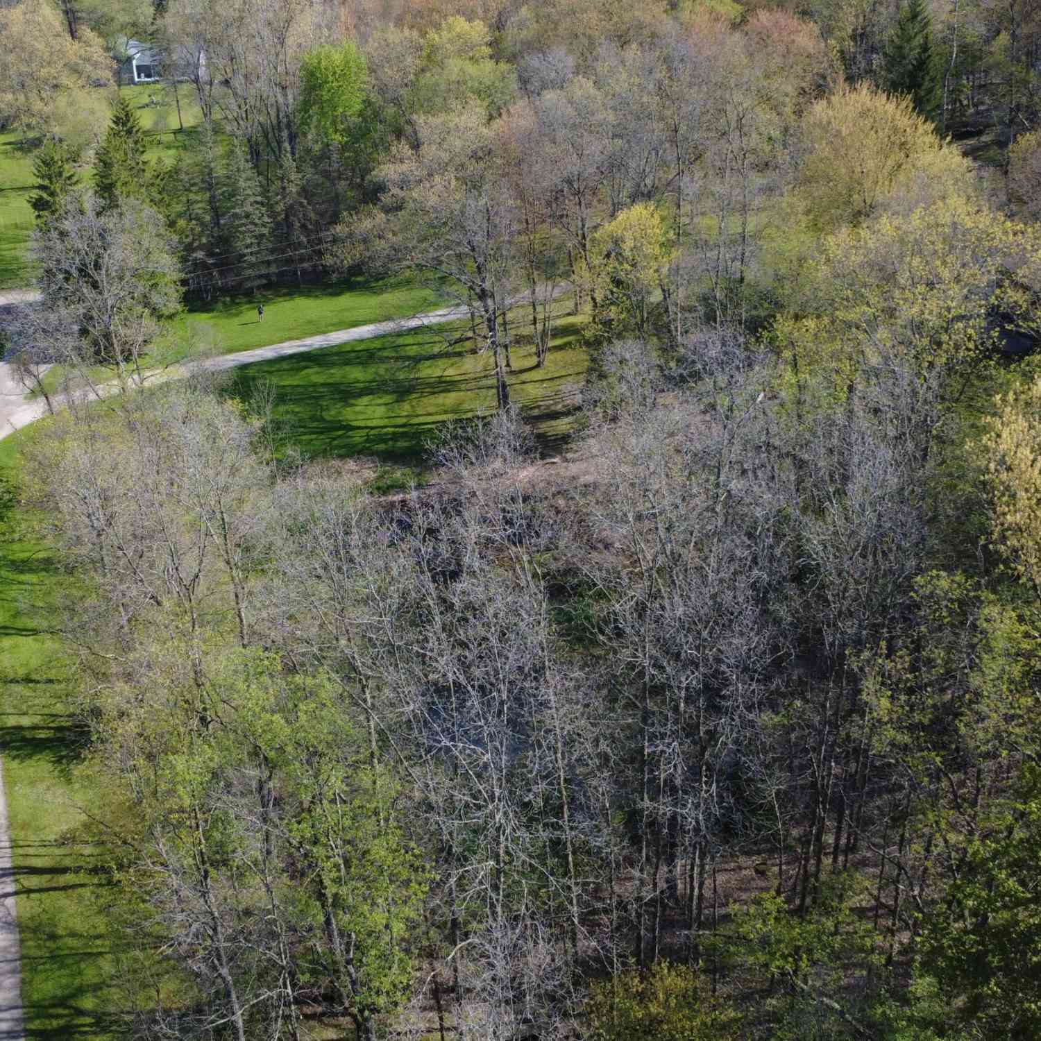 Vacant Land For Sale - TBD Valley Gate<br/> Milford, MI 48380