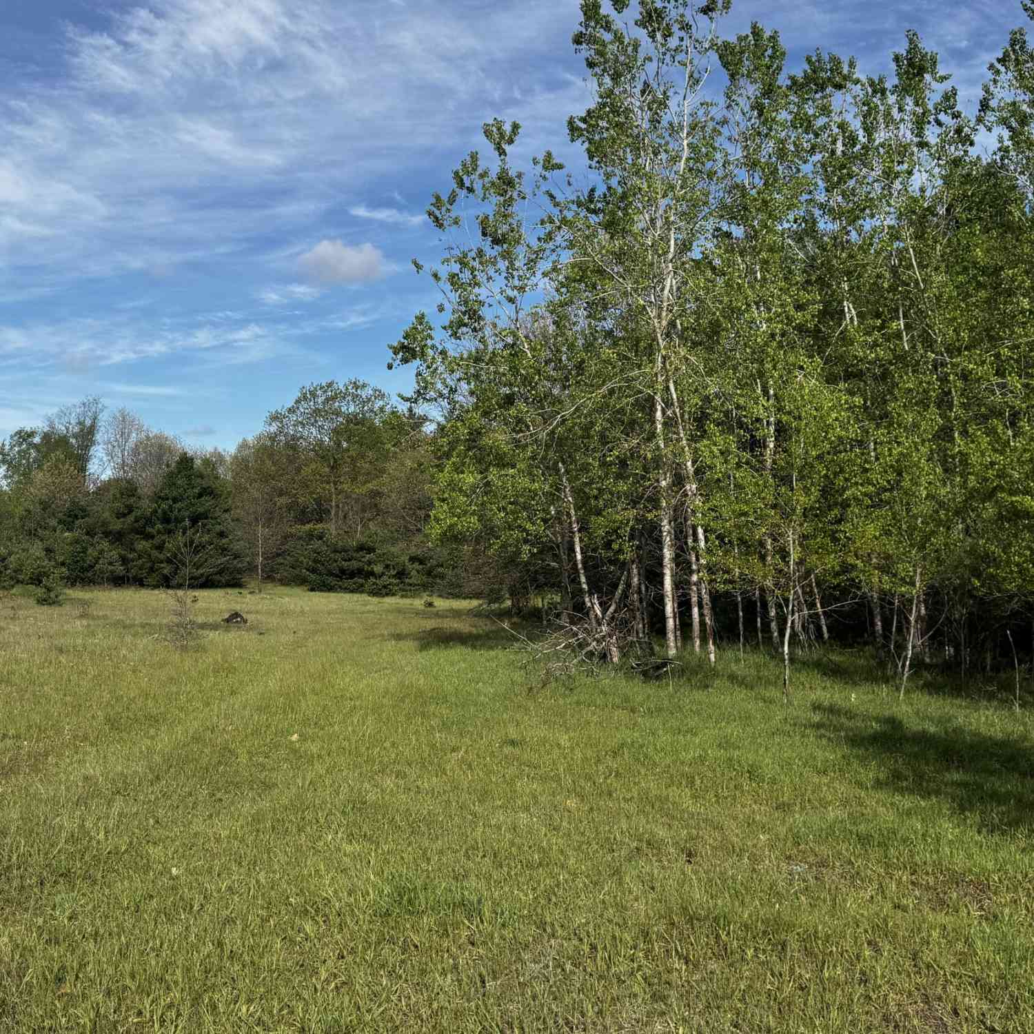 Vacant Land For Sale - 14771 180th Avenue<br/> Stanwood, MI 49346