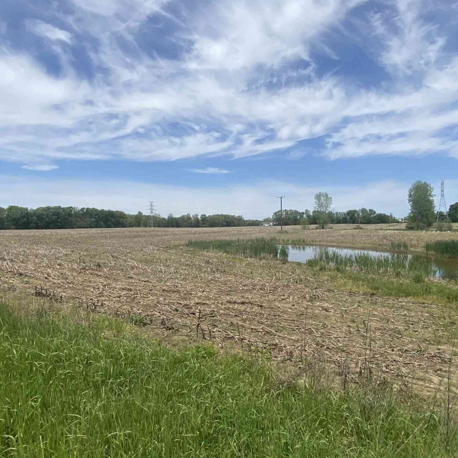 Vacant Land For Sale - Boyce Road<br/> Gregory, MI 48137