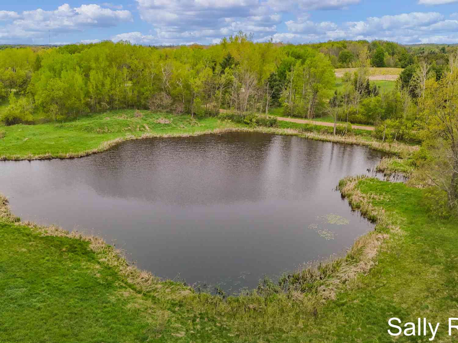 Vacant Land For Sale - V/L 9 Mile Road<br/> Osceola County, Reed City, MI 49677