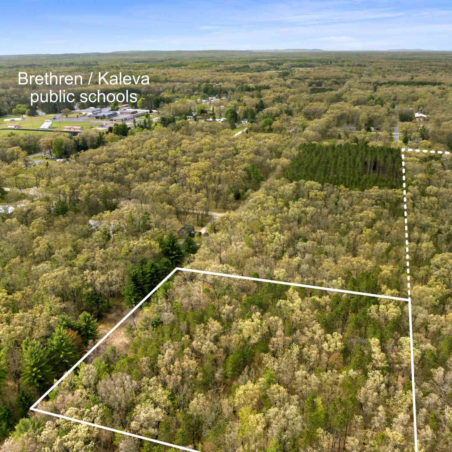 Vacant Land For Sale - Maple Avenue<br/> Brethren, MI 49619