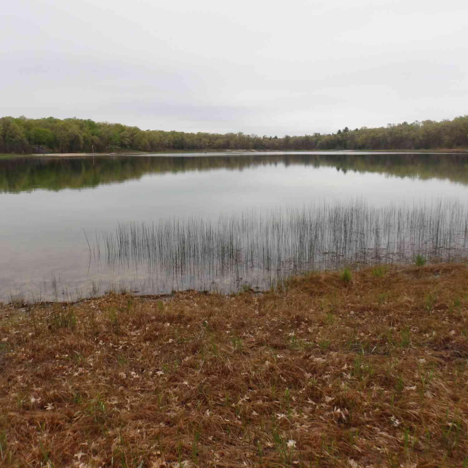 Vacant Land For Sale - Hardwood Drive<br/> Free Soil, MI 49411