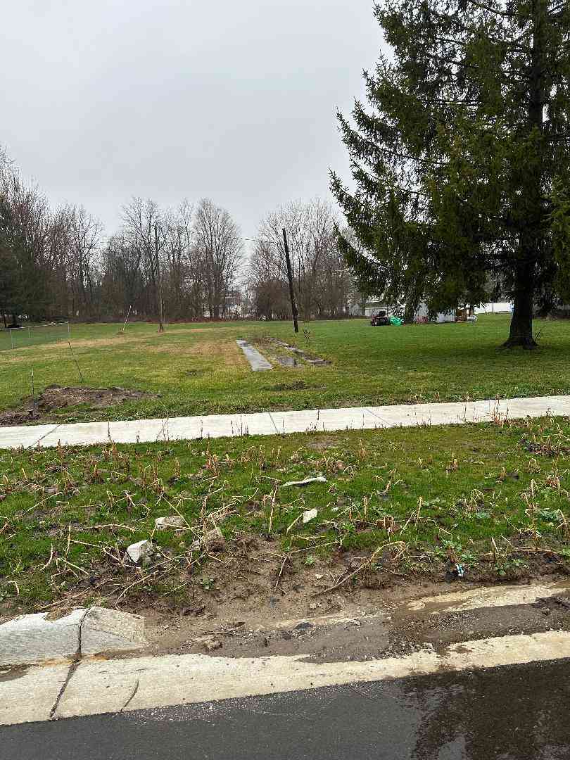 Vacant Land For Sale - 226 Strong Street<br/> Reading, MI 49274