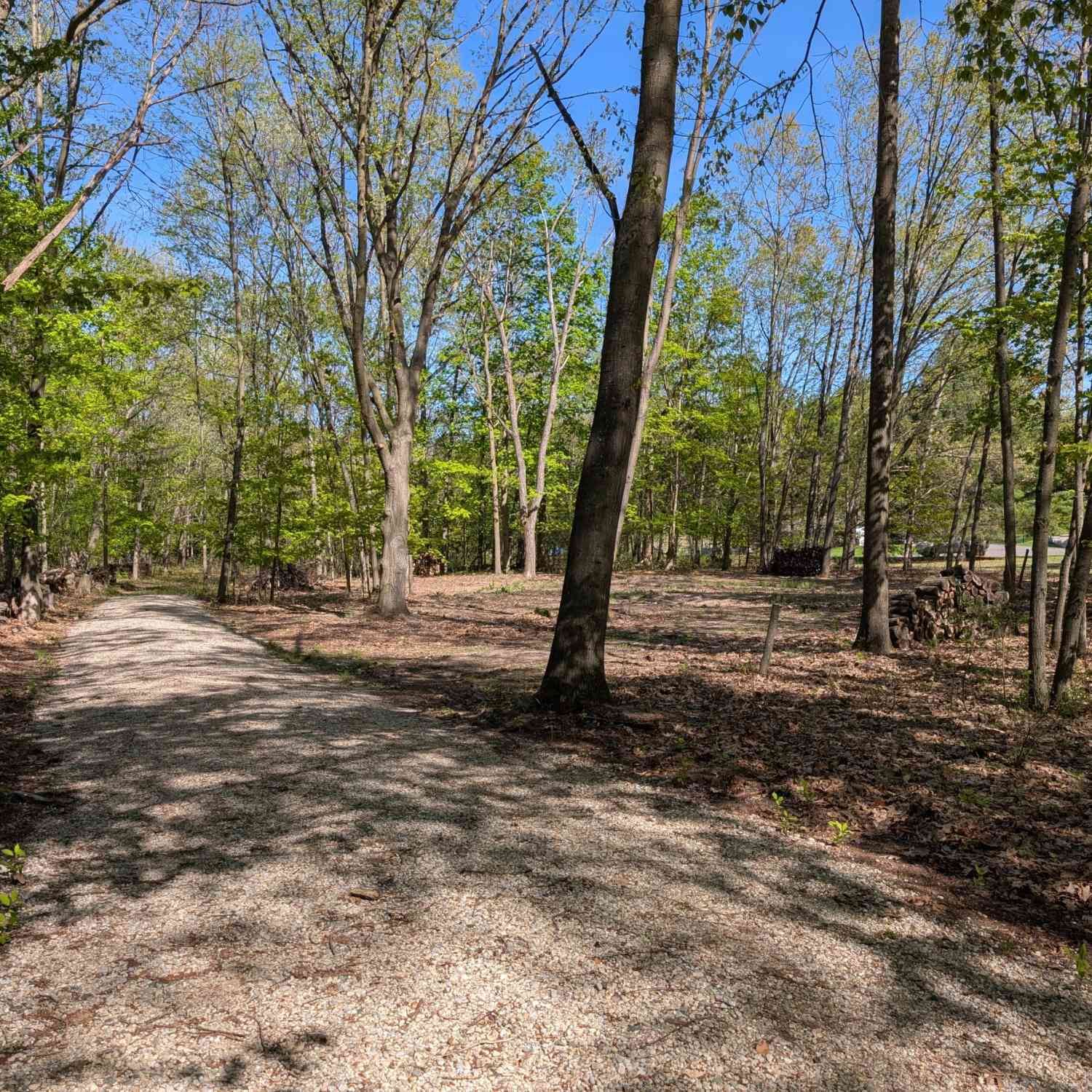 Vacant Land For Sale - 8933 S East Torch Lake Drive<br/> Antrim County, Alden, MI 49612