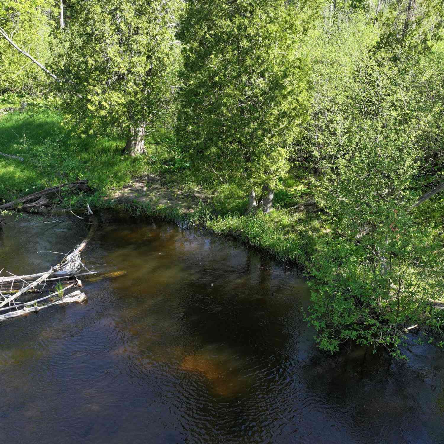 Vacant Land For Sale - V/L E Pomeroy Springs Road<br/> Irons, MI 49644