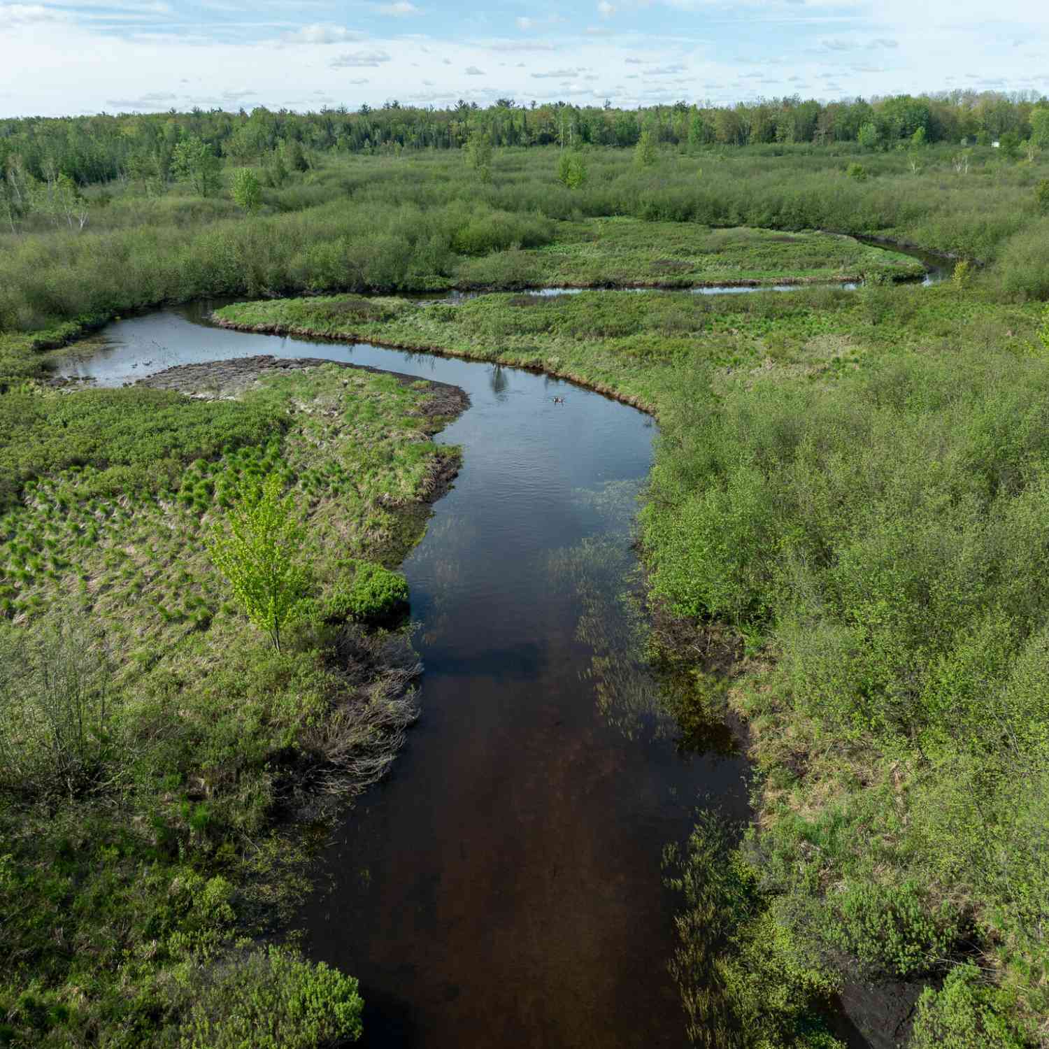 Vacant Land For Sale - V/L 3 Mile Road<br/> Sears, MI 49679
