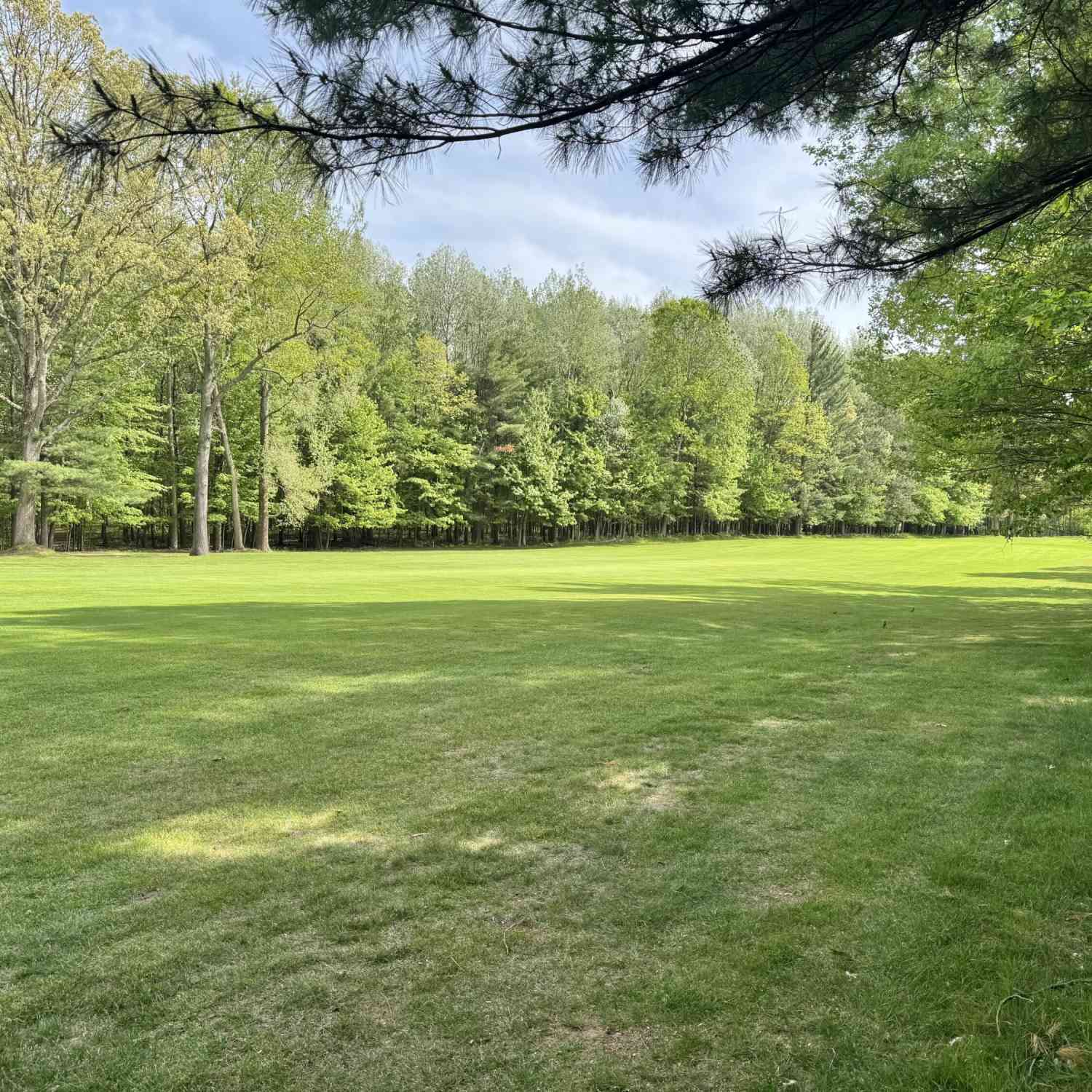Vacant Land For Sale - 6798 Beechnut Ridge<br/> Canadian Lakes, MI 49346