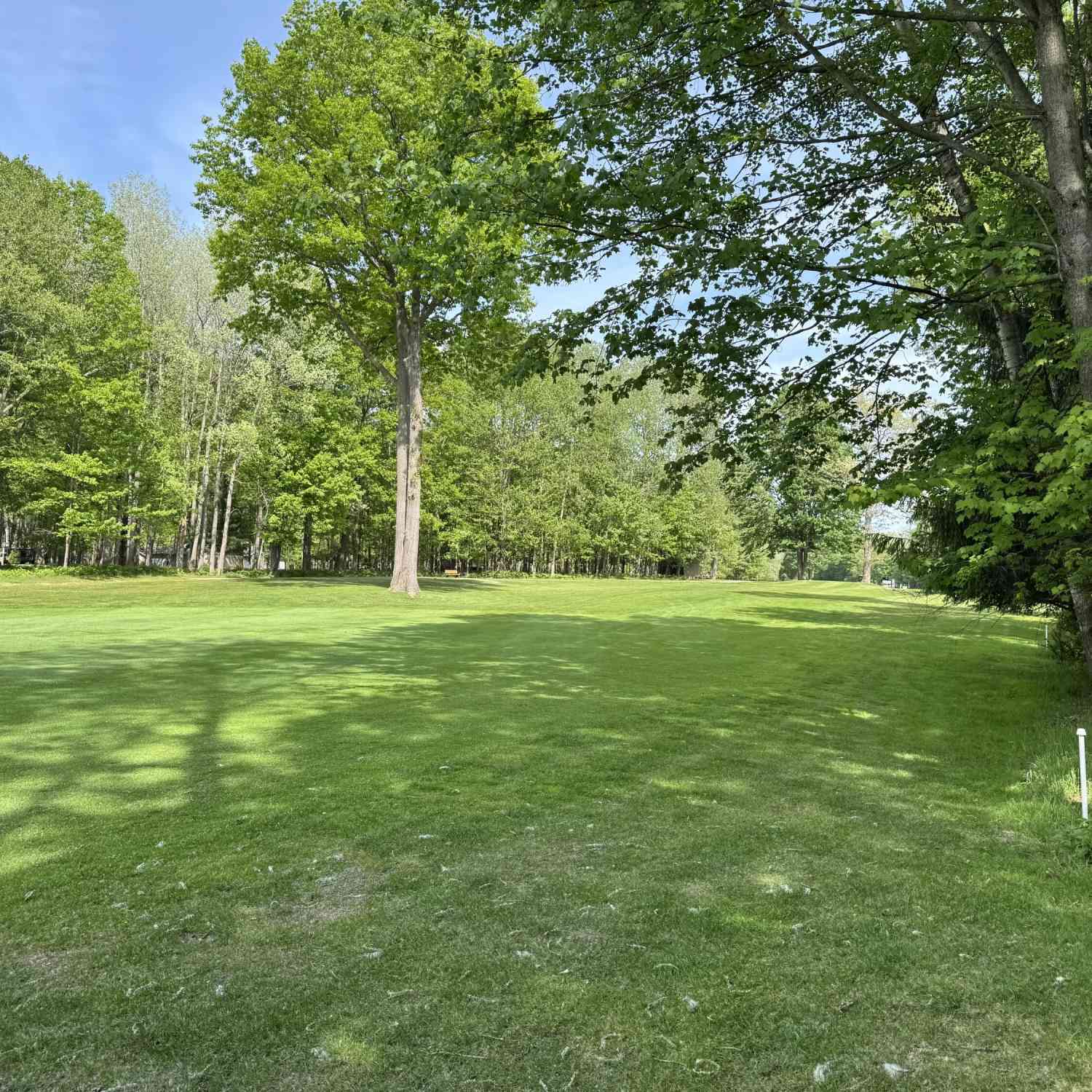 Vacant Land For Sale - 9368 Clubhouse Drive #549<br/> Canadian Lakes, MI 49346