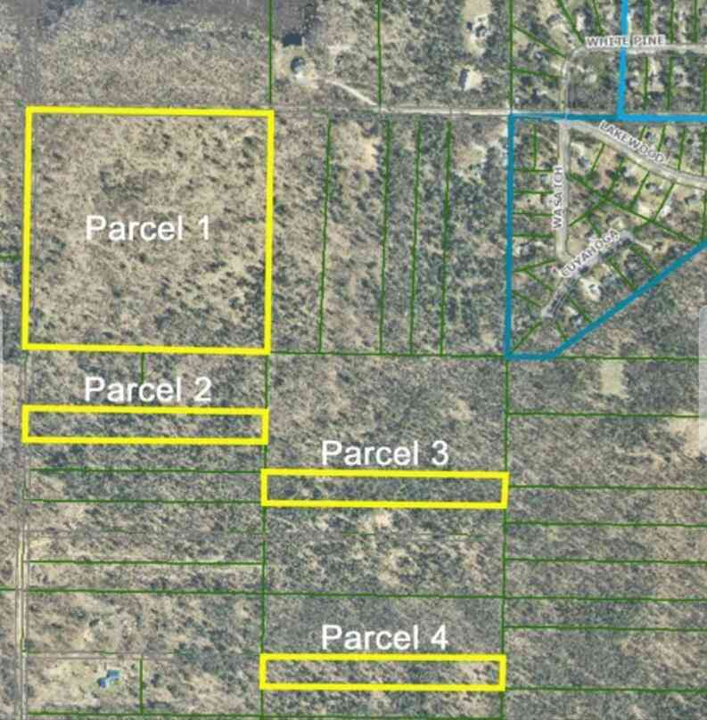 Vacant Land For Sale - 5 ACRE Parcel 4<br/> Twin Lake, MI 49457