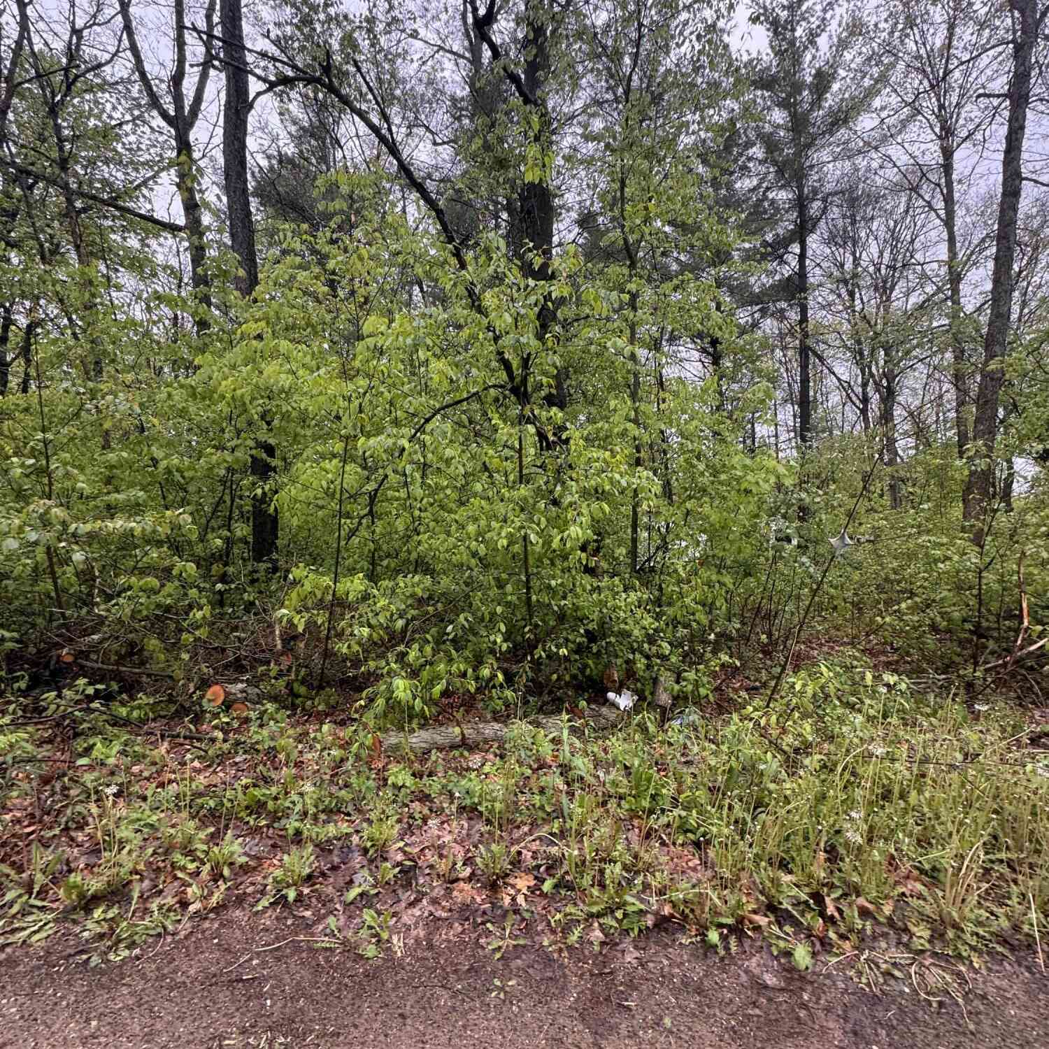 Vacant Land For Sale - V/L Paw Paw Trail<br/> Howard City, MI 49329