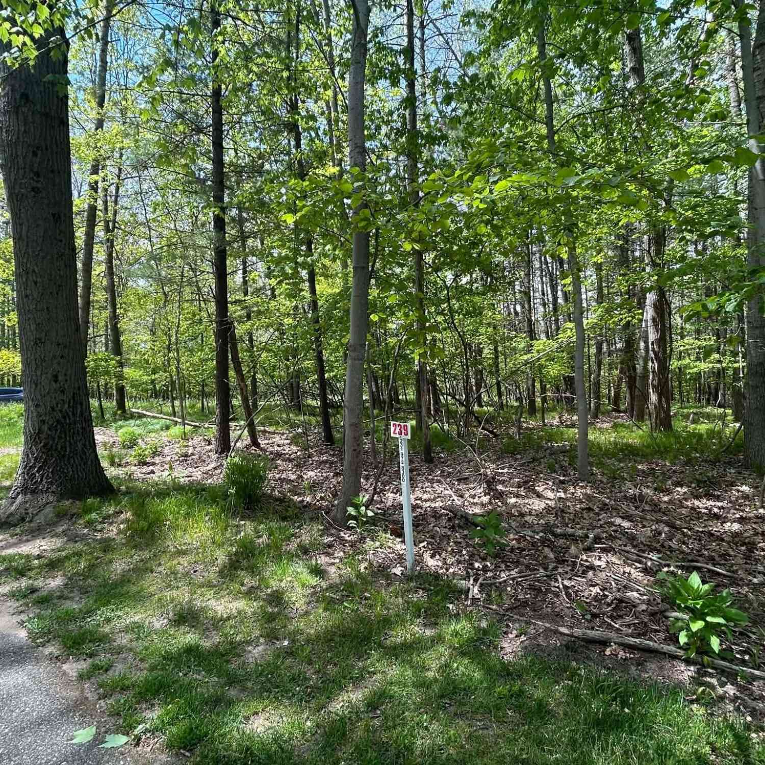 Vacant Land For Sale - 6718 Beechnut Ridge #239<br/> Canadian Lakes, MI 49346