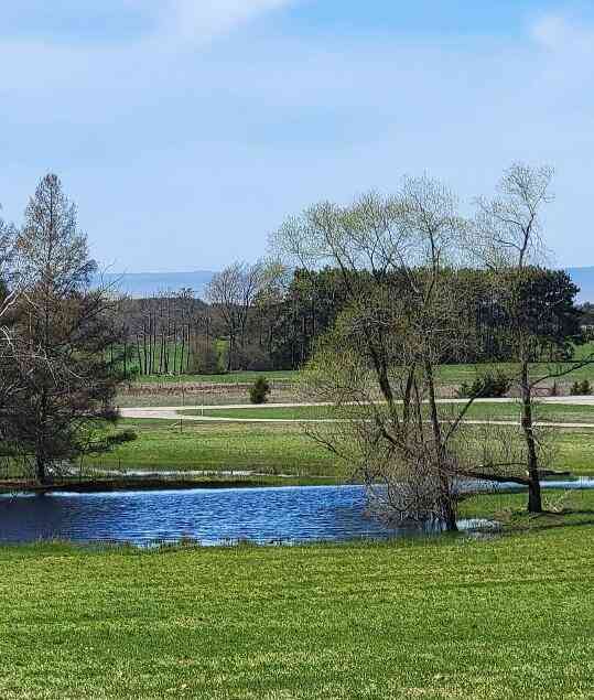 Vacant Land For Sale - Chippewa Highway<br/> Bear Lake, MI 49614