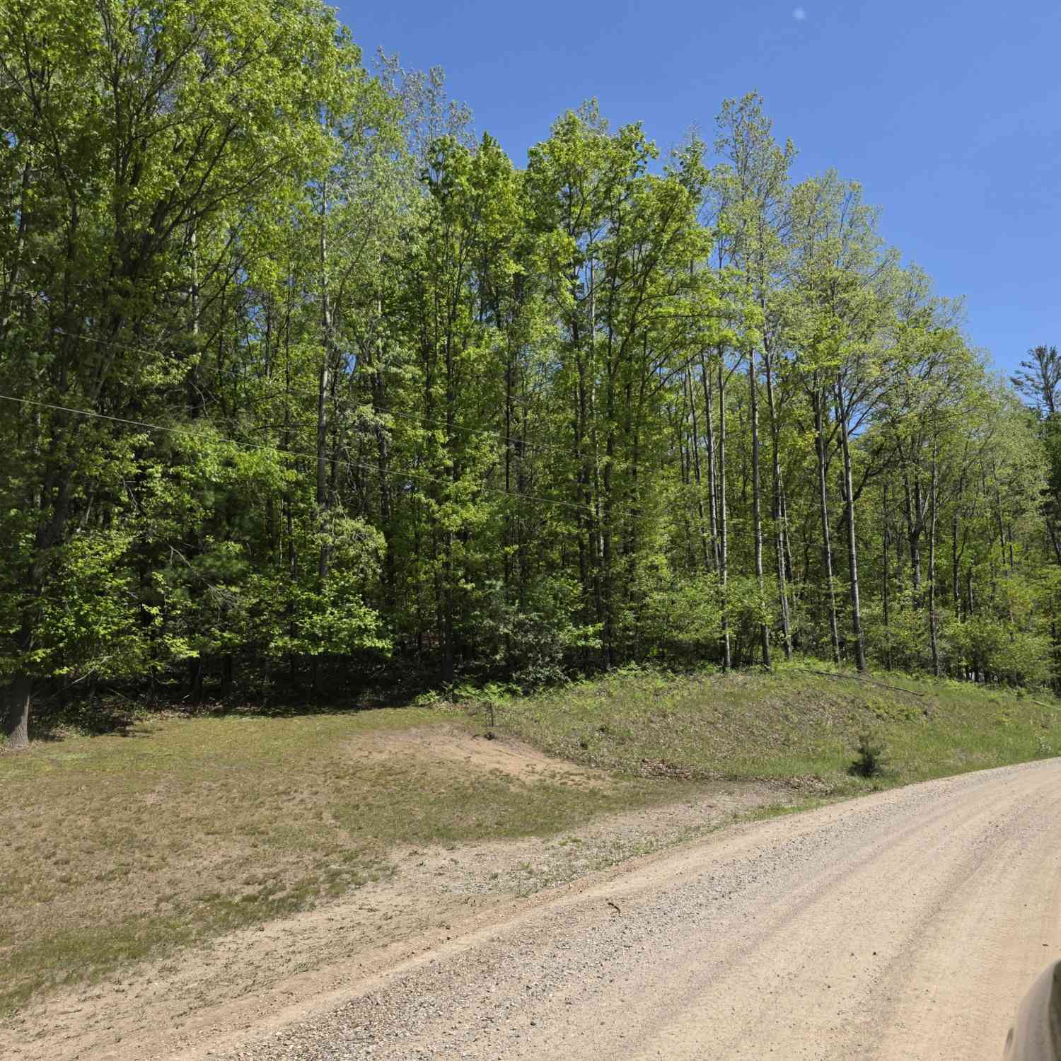 Vacant Land For Sale - 4796 90th Avenue<br/> Osceola County, Evart, MI 49631