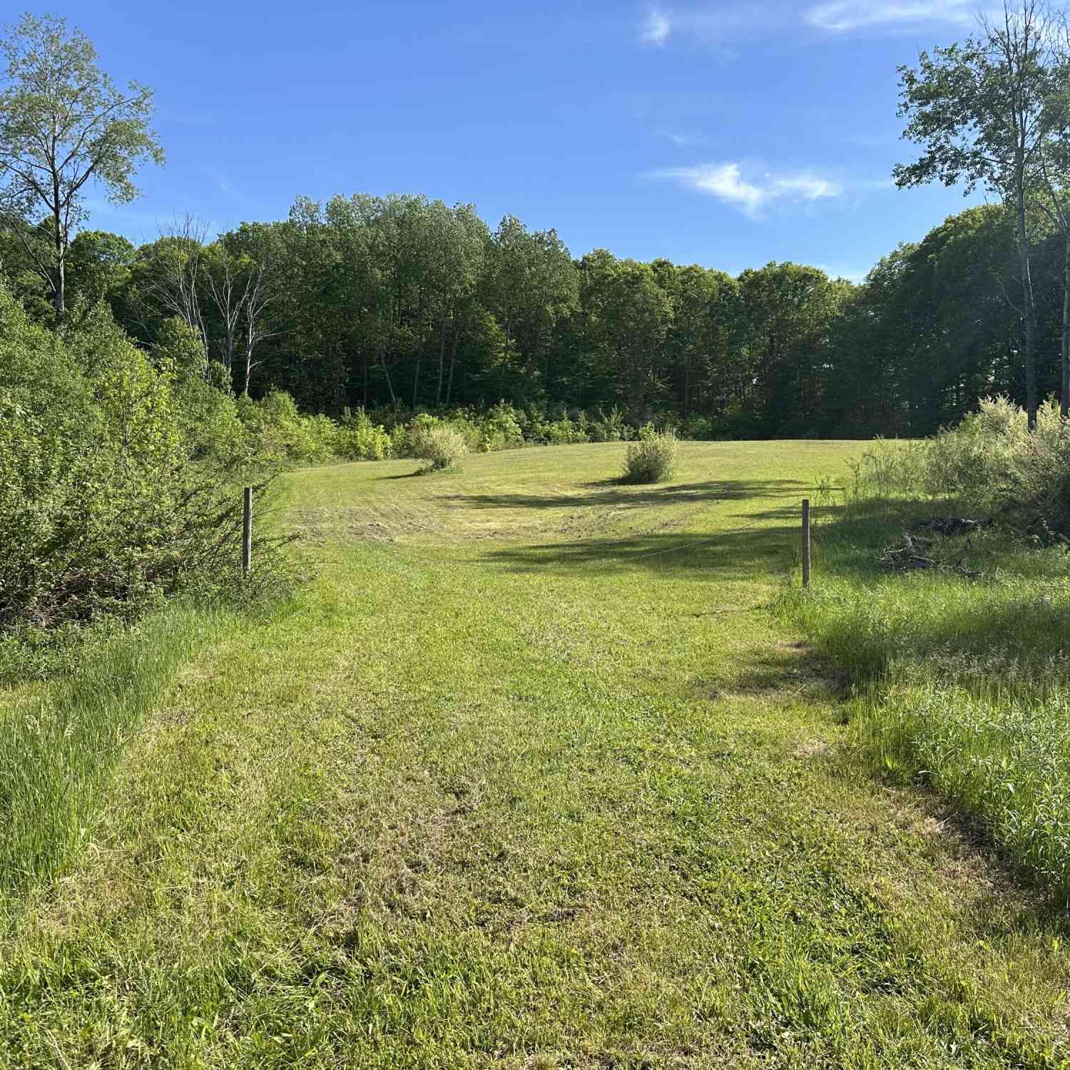 Vacant Land For Sale - 5057 E 3 1/2 Mile Road<br/> Luther, MI 49656