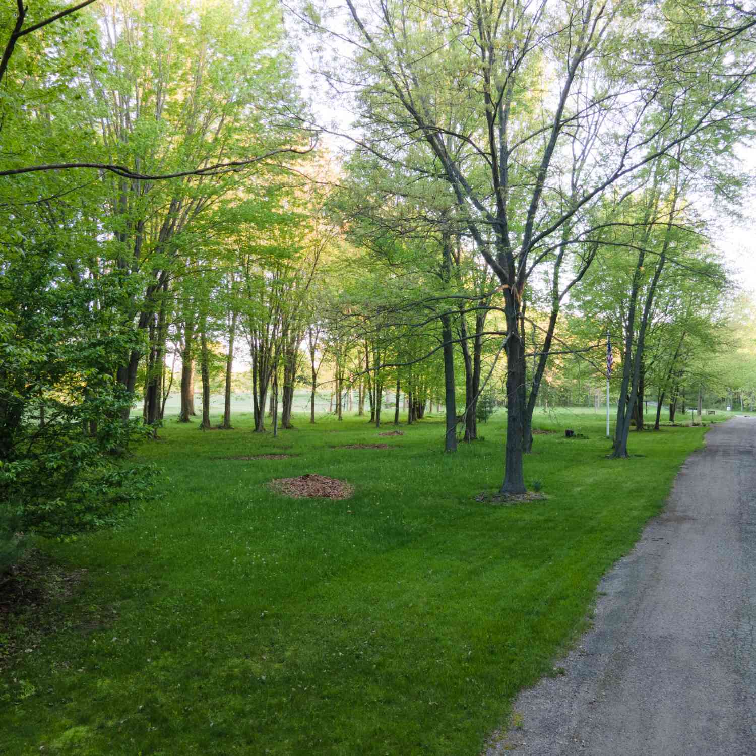Vacant Land For Sale - 00 Greystone Court<br/> Benton Harbor, MI 49022