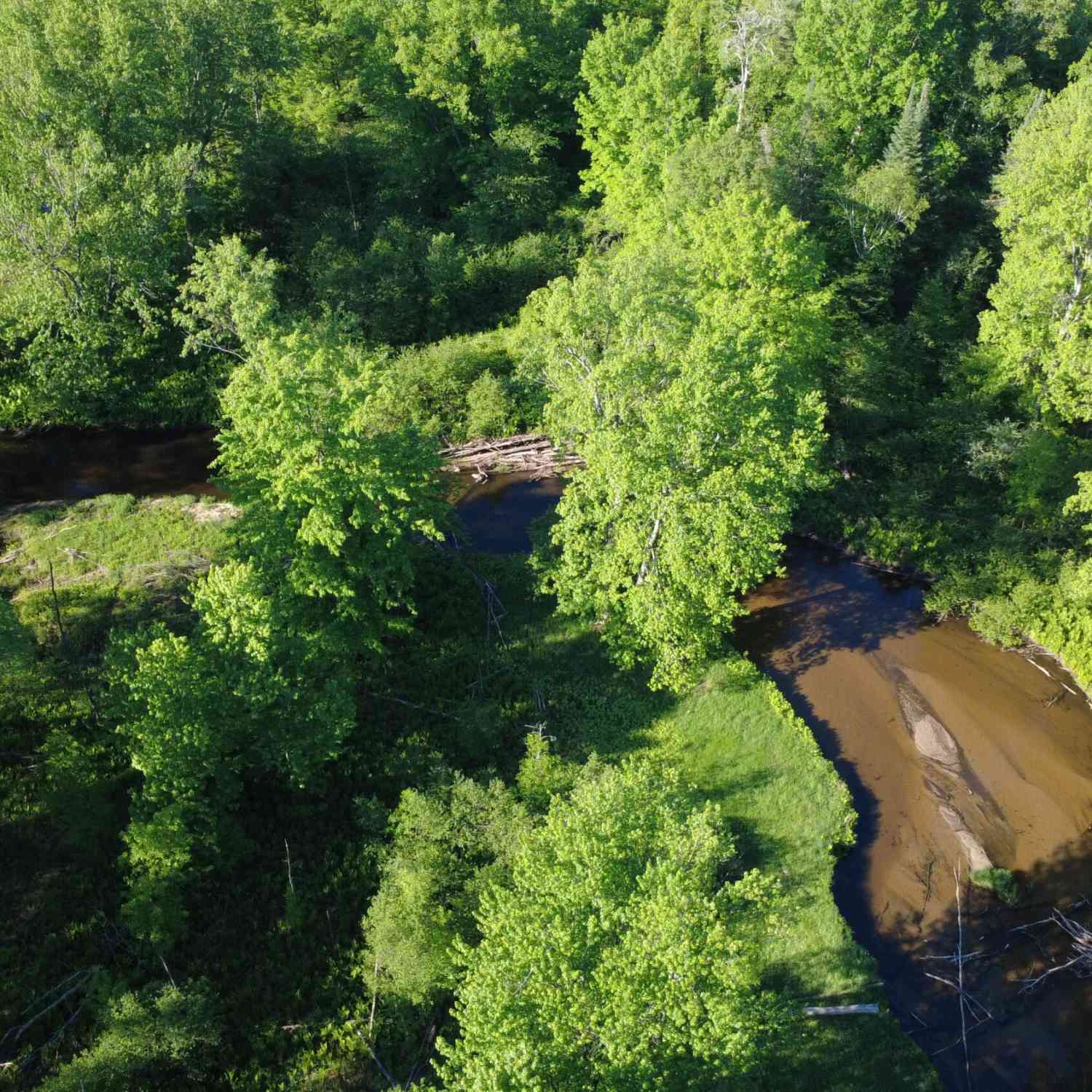 Vacant Land For Sale - 17639 N 20th Avenue<br/> Osceola County, Marion, MI 49665