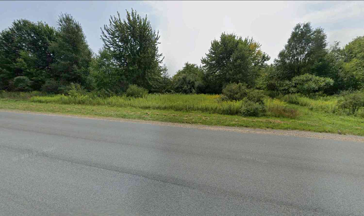 Vacant Land For Sale - 41955 W Red Arrow Highway<br/> Paw Paw, MI 49079
