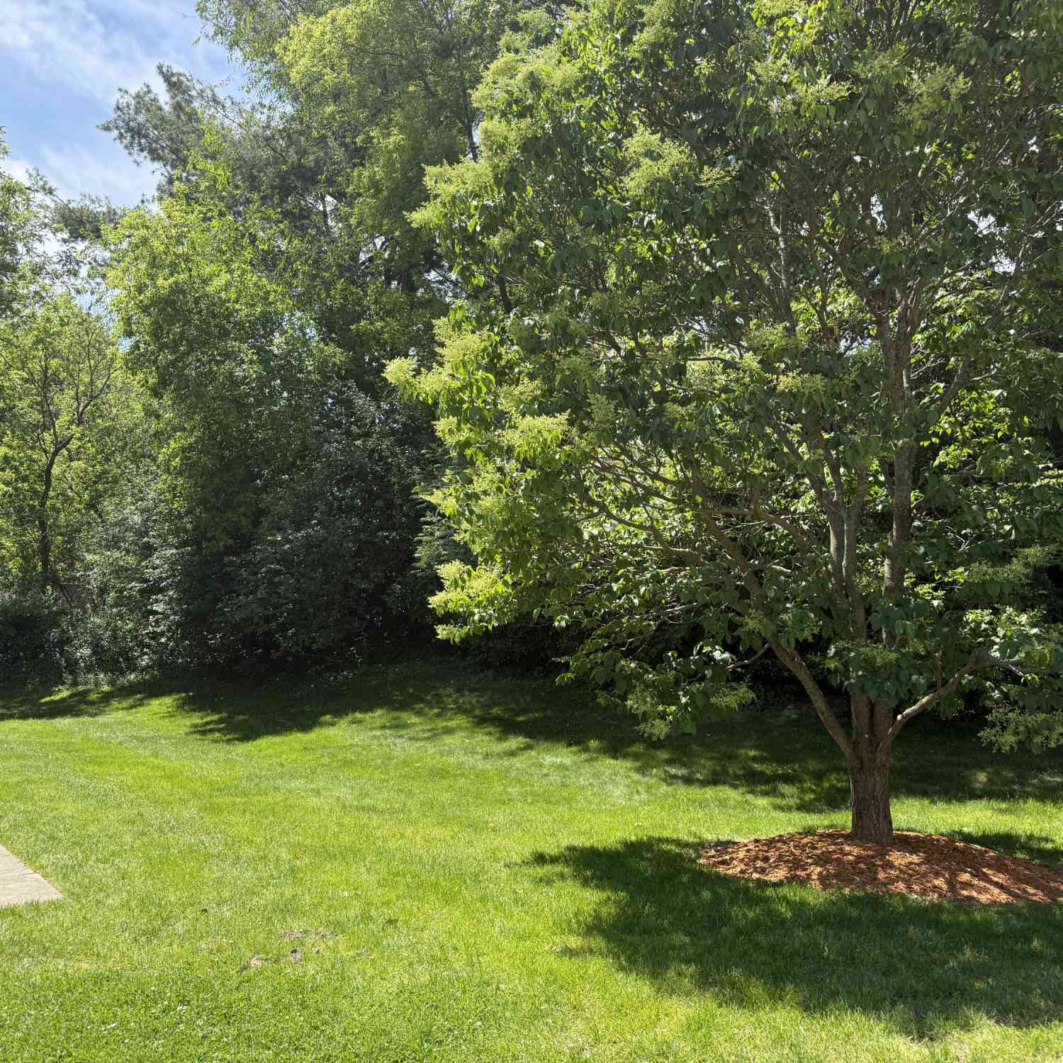 Condo For Sale - 8507 Courtland Drive #4<br/> Kent County, Rockford, MI 49341