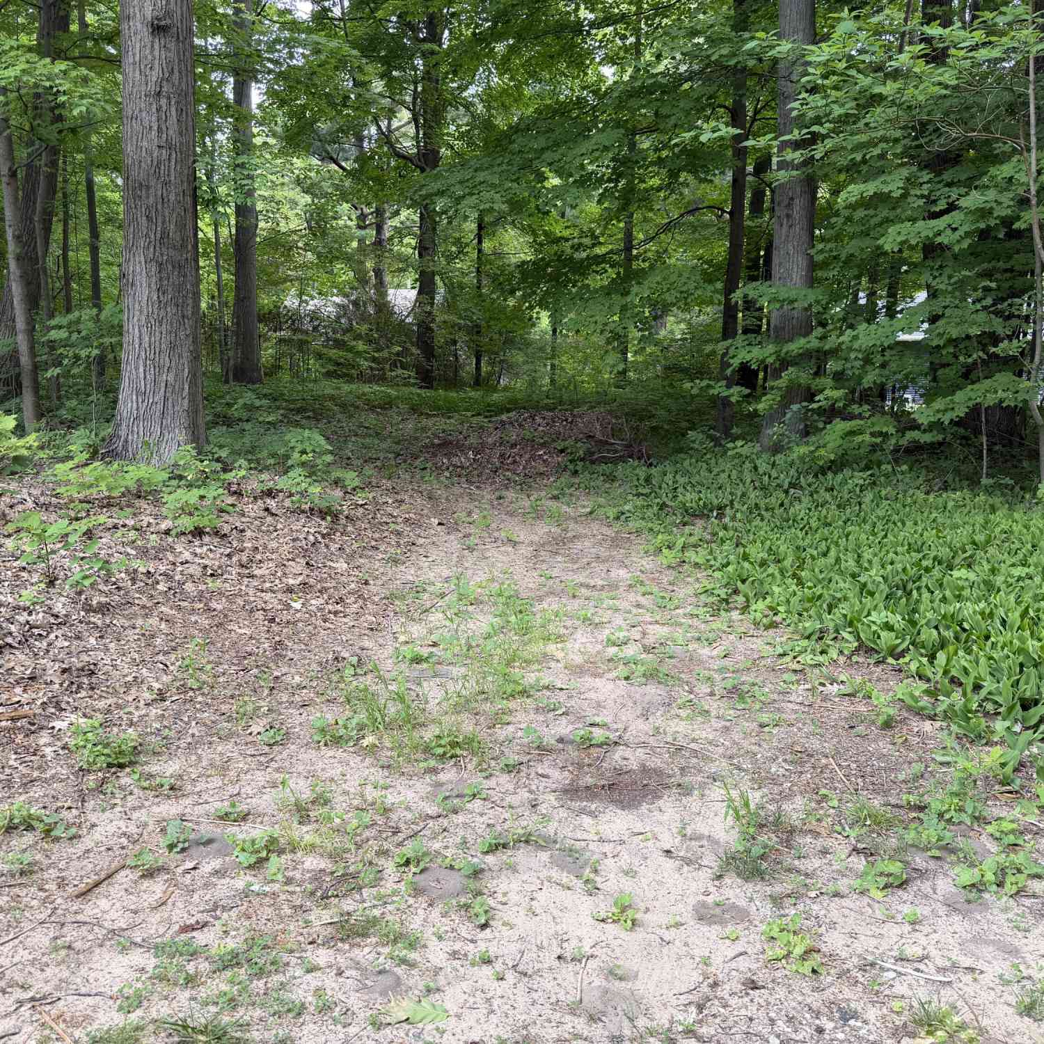 Vacant Land For Sale - Michigan Avenue<br/> South Haven, MI 49090