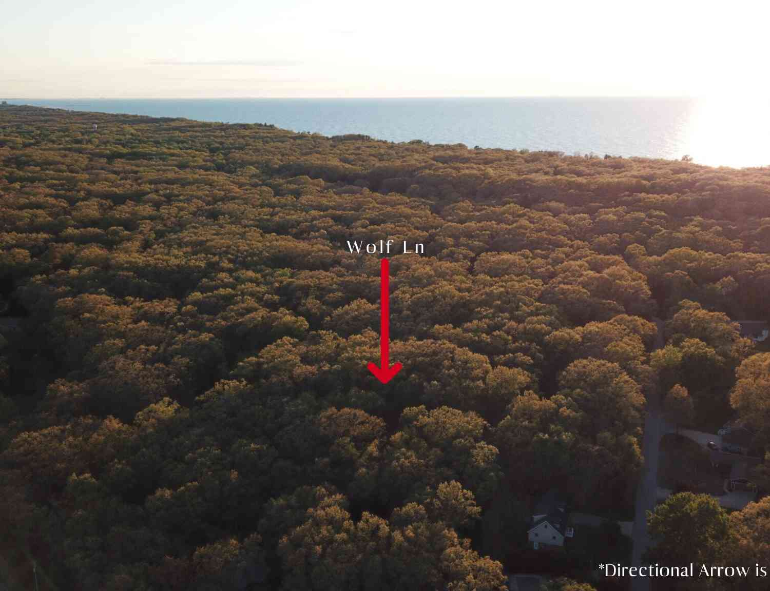 Vacant Land For Sale - 14386 Wolf Lane #6<br/> New Buffalo, MI 49117