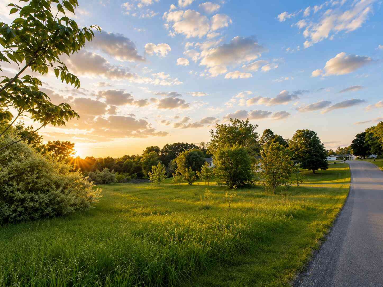 Vacant Land For Sale - V/L Elliott<br/> Shelby, MI 49455