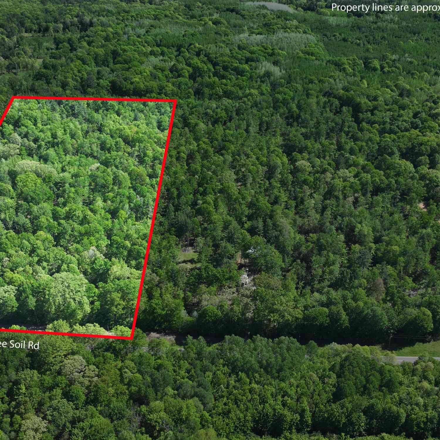 Vacant Land For Sale - PARCEL C E Free Soil Road<br/> Free Soil, MI 49411