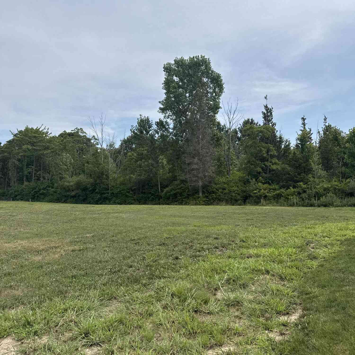 Vacant Land For Sale - 7368 Beachview Drive<br/> South Haven, MI 49090