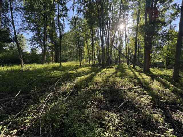 Vacant Land For Sale - Pinch Highway<br/> Potterville, MI 48876