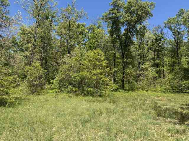 Vacant Land For Sale - PARCEL B W Usfs 5196<br/> Baldwin, MI 49304