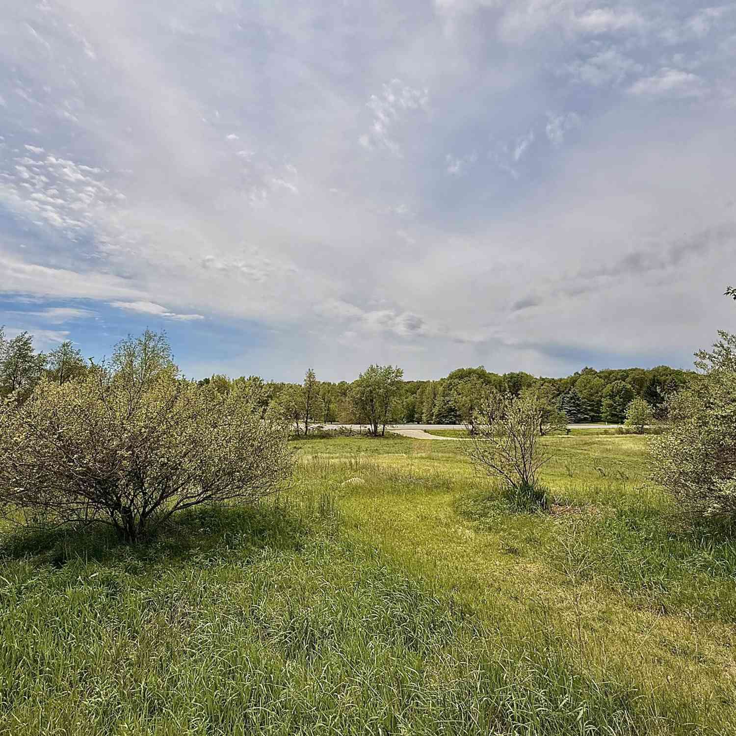 Vacant Land For Sale - 8673 Cannonsburg Road<br/> Ada, MI 49301