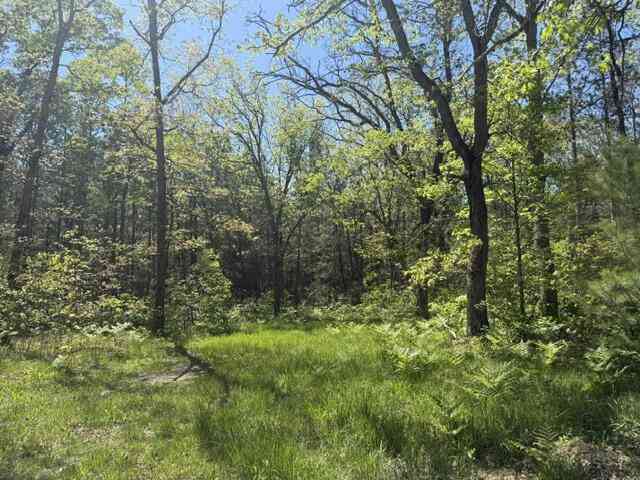 Vacant Land For Sale - PARCEL C Usfs 5196<br/> Baldwin, MI 49304