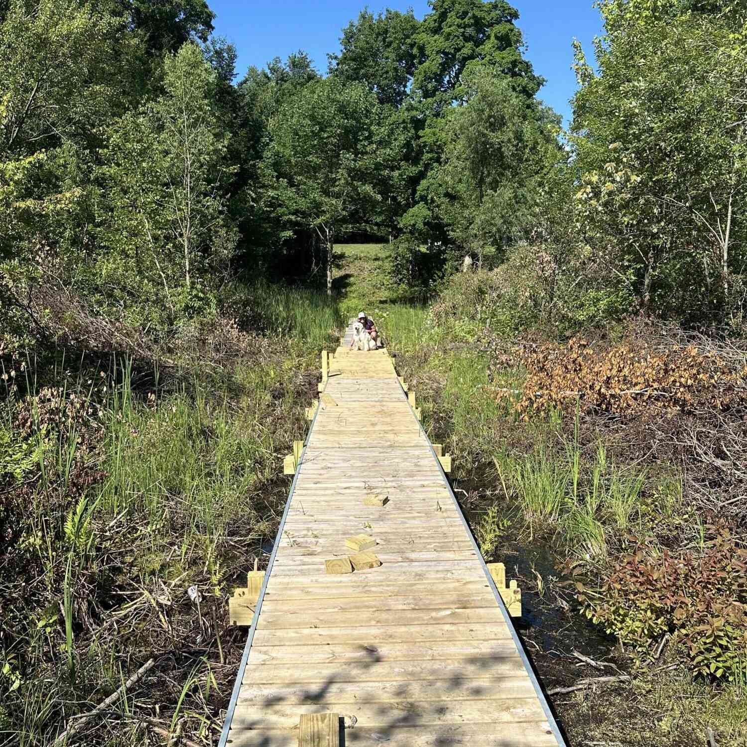 Vacant Land For Sale - 6081 Terry Drive<br/> Six Lakes, MI 48886