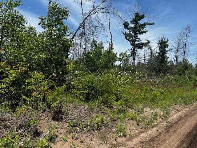 Vacant Land For Sale - PARCEL 3 Nelson Road<br/> Idlewild, MI 49642