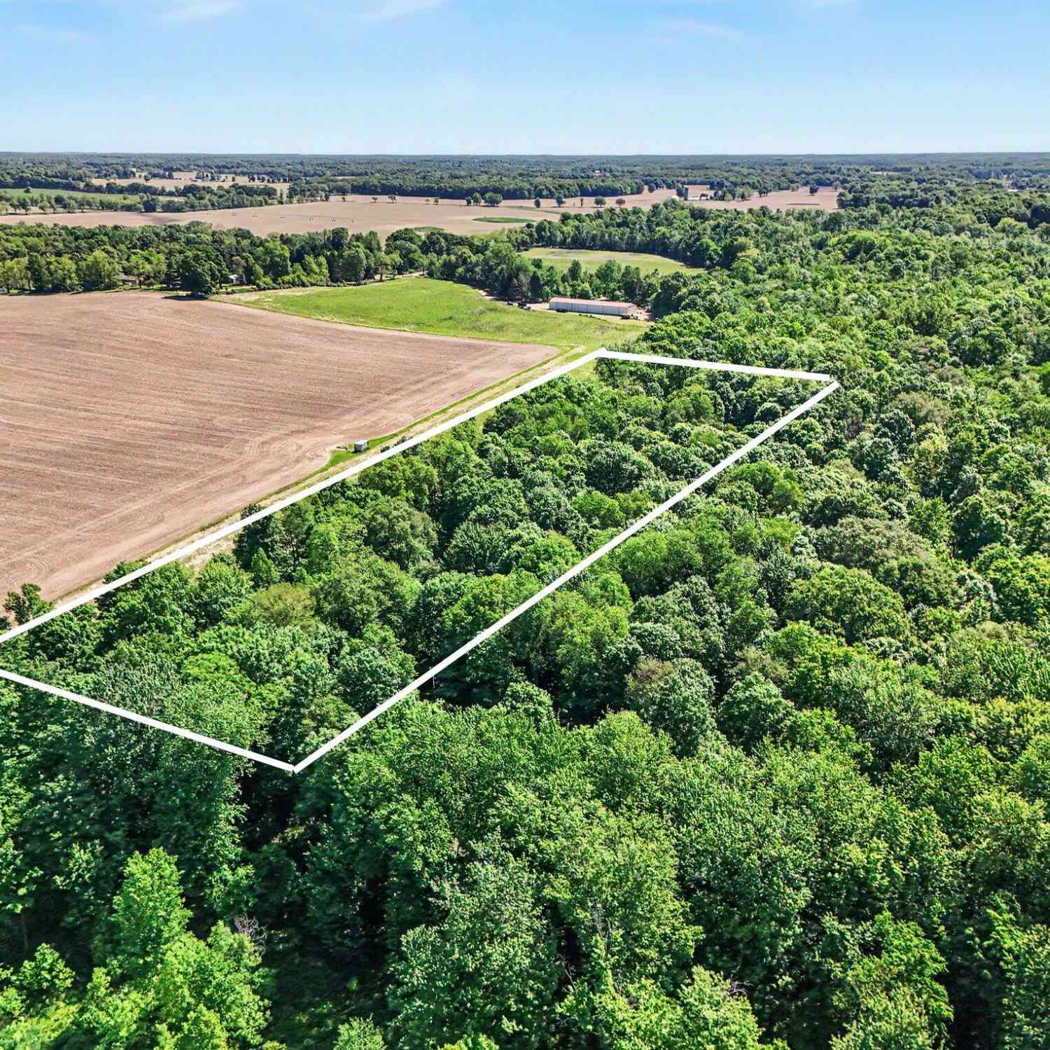 Vacant Land For Sale - 16470 E Ts Avenue<br/> Fulton, MI 49052