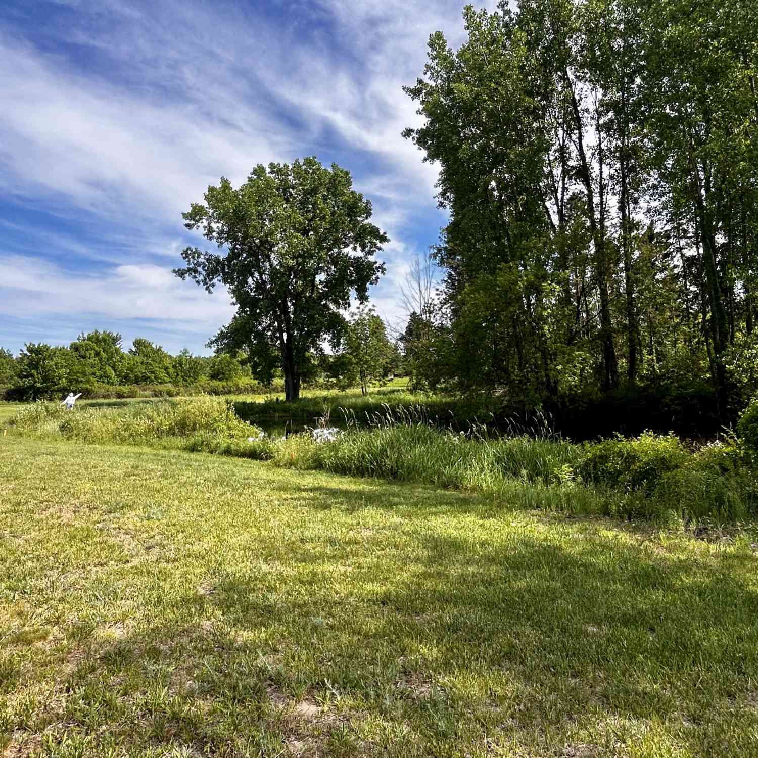 Vacant Land For Sale - 0000 102nd Ave Avenue<br/> South Haven, MI 49090