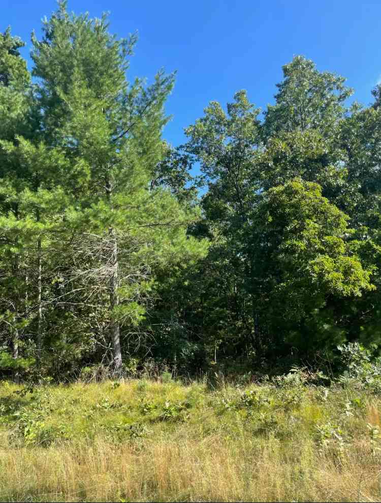Vacant Land For Sale - 1365 Estate Street #2<br/> Whitehall, MI 49461