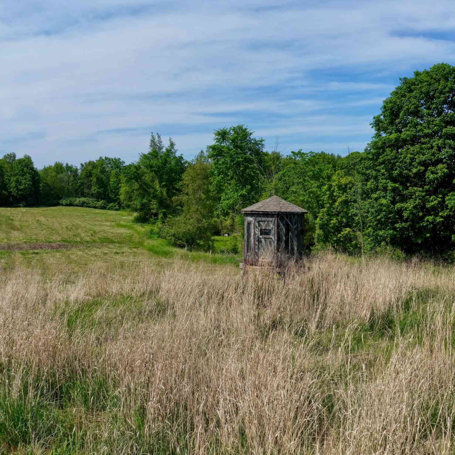 Vacant Land For Sale - Valley Highway<br/> Eaton County, Vermontville, MI 49096