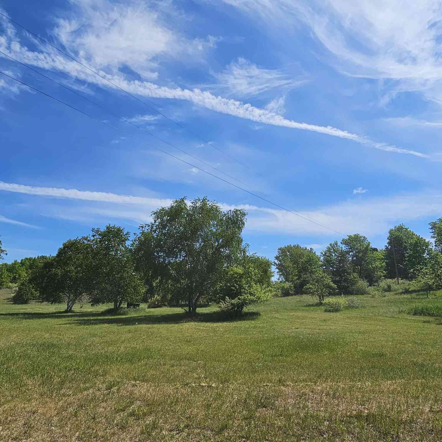 Vacant Land For Sale - 2148 W Hazel Road<br/> Hart, MI 49420