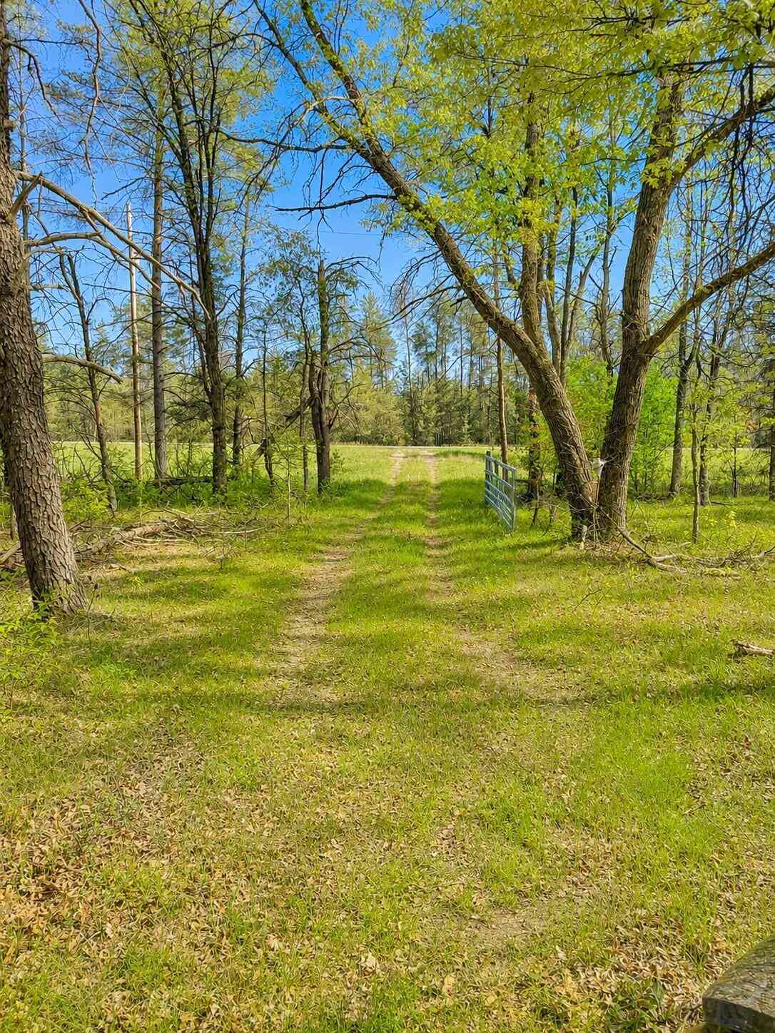 Vacant Land For Sale - V/L Temple Drive<br/> Marion, MI 49665